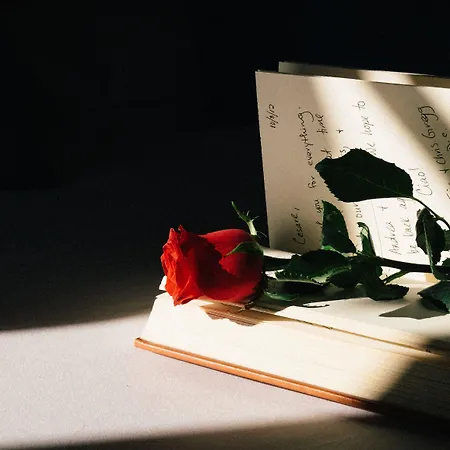 فندق مبيت وإفطار Murano Palace 4*